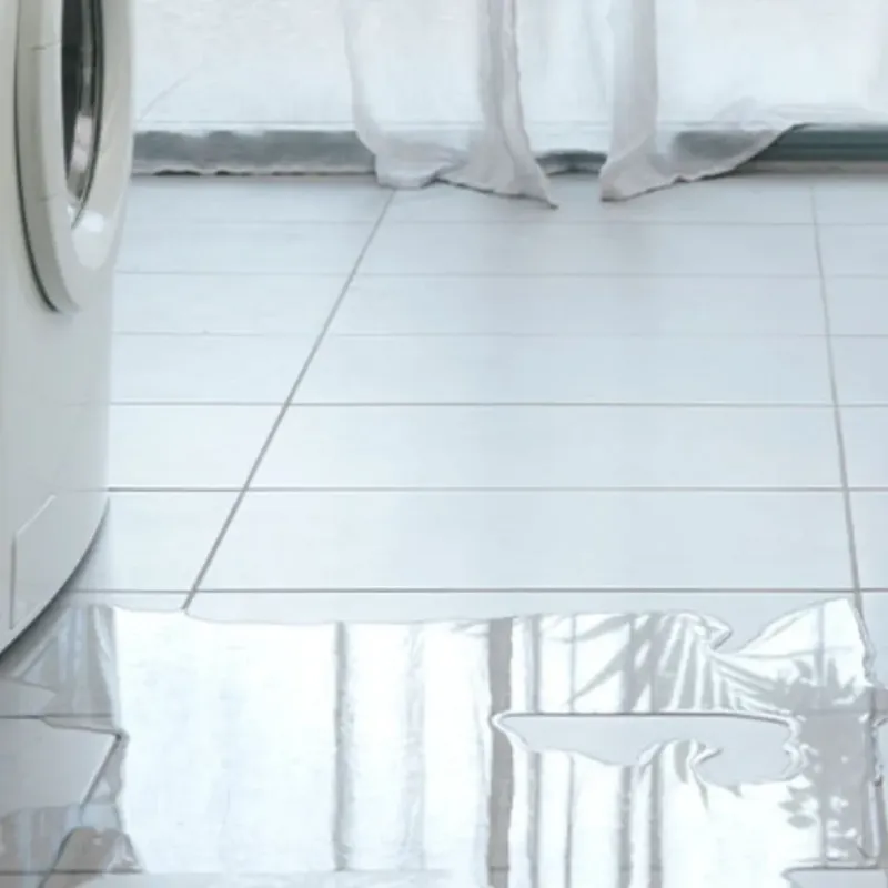 Appliance Leak Cleanup in Dade City North, FL