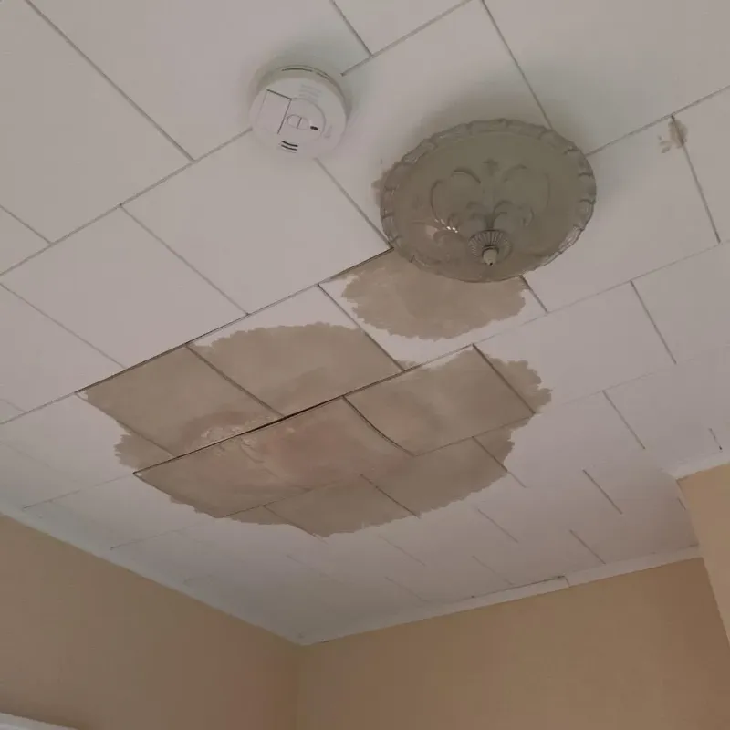 Ceiling Water Damage Repair in Dade City North, FL
