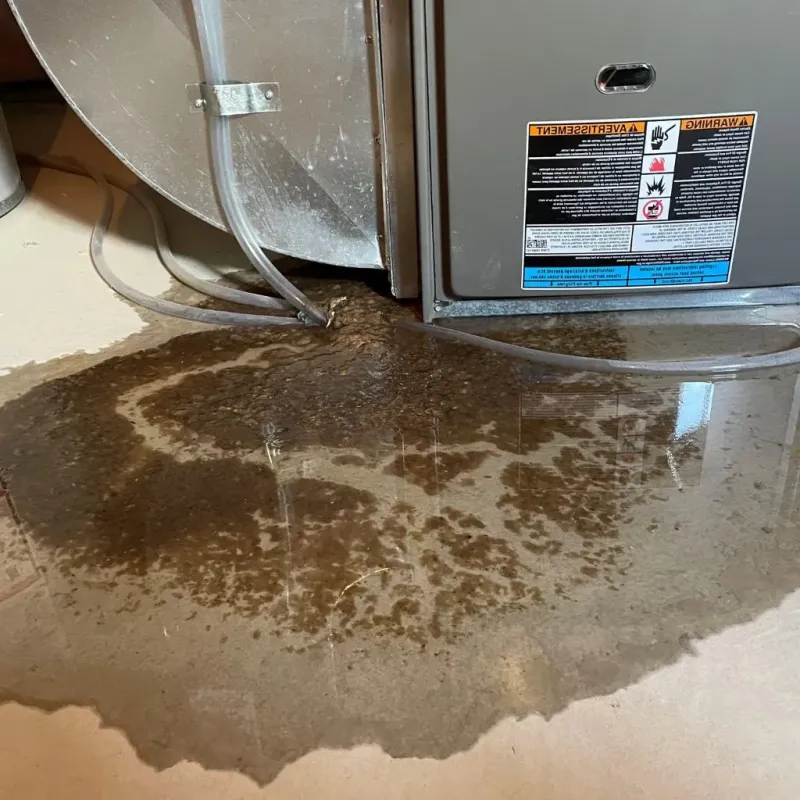 Pipe Burst and Leak Restoration in Dade City North, FL